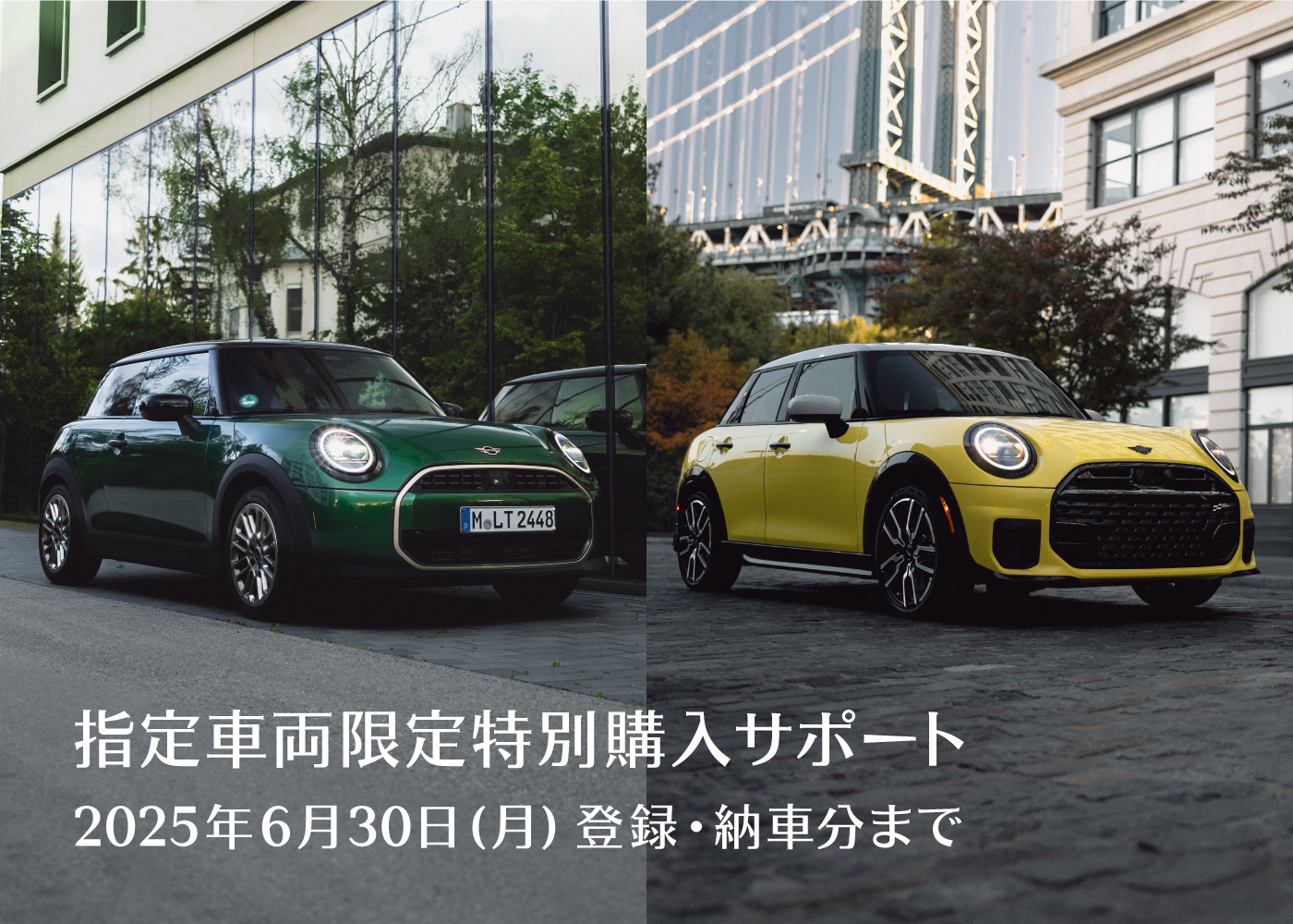 CARNIVAL MINI｜J&M DAVIDSON｜ジェイアンドエムデヴィッドソン